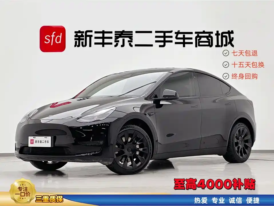 Model Y 2021 Standard Range Rear-Wheel Drive