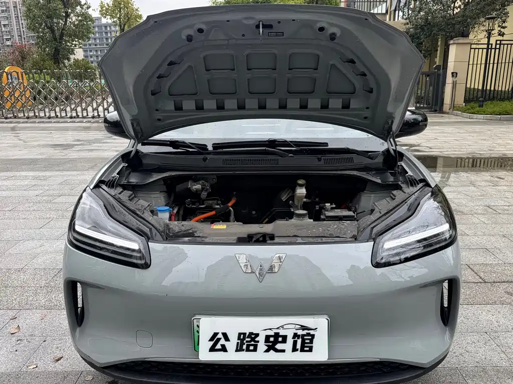Wuling Bingo PLUS 2024 330km 5-Seater Edition