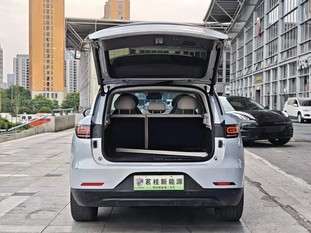 Leapmotor C11 2021 Facelift Luxury Edition