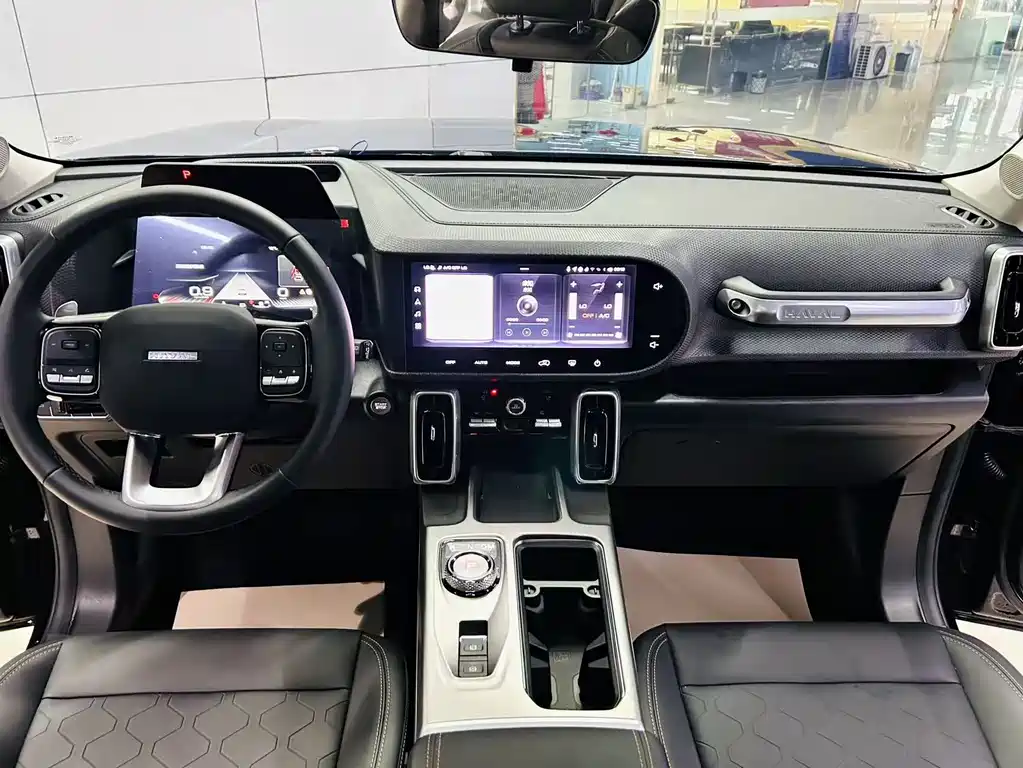 Haval Big Dog 2024 1.5T DCT Border Collie Edition
