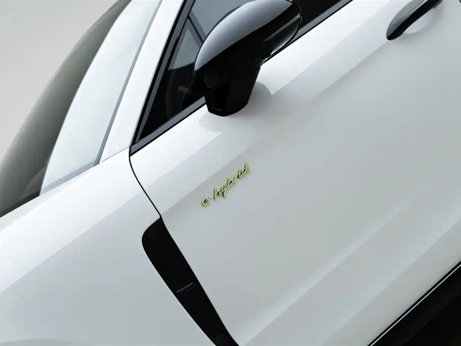 2021 Porsche Panamera 4S E-Hybrid Executive LWB 2.9T