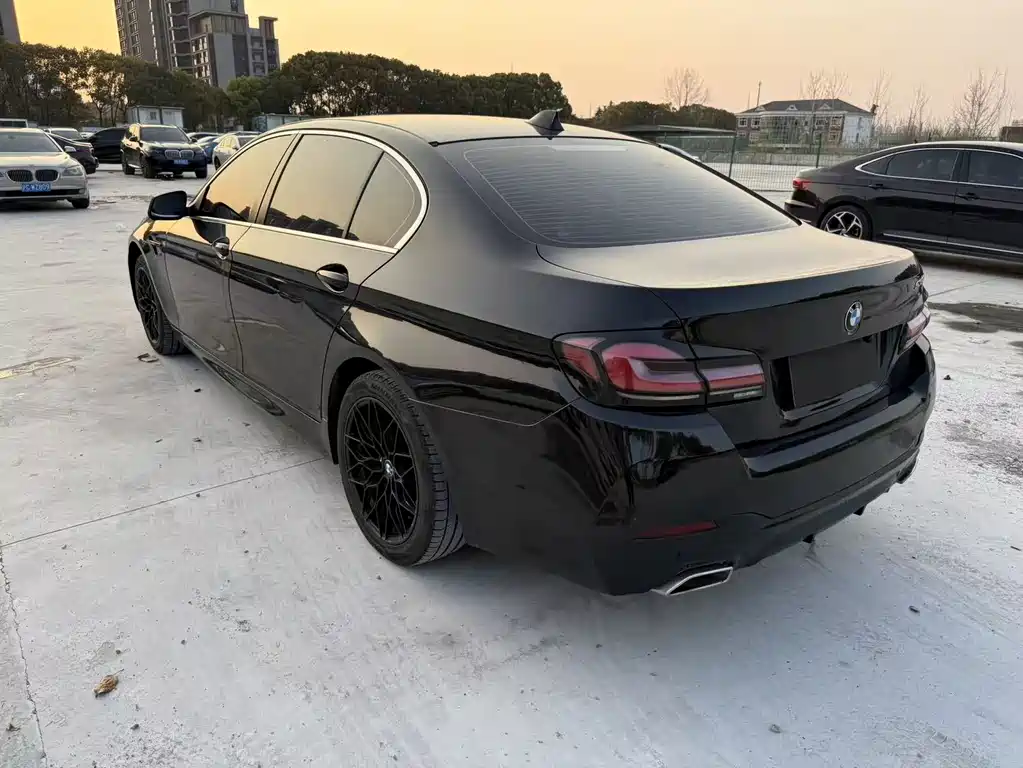 BMW 5 Series 2012 530Li Leading Trim