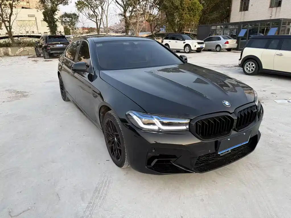 BMW 5 Series 2012 530Li Leading Trim