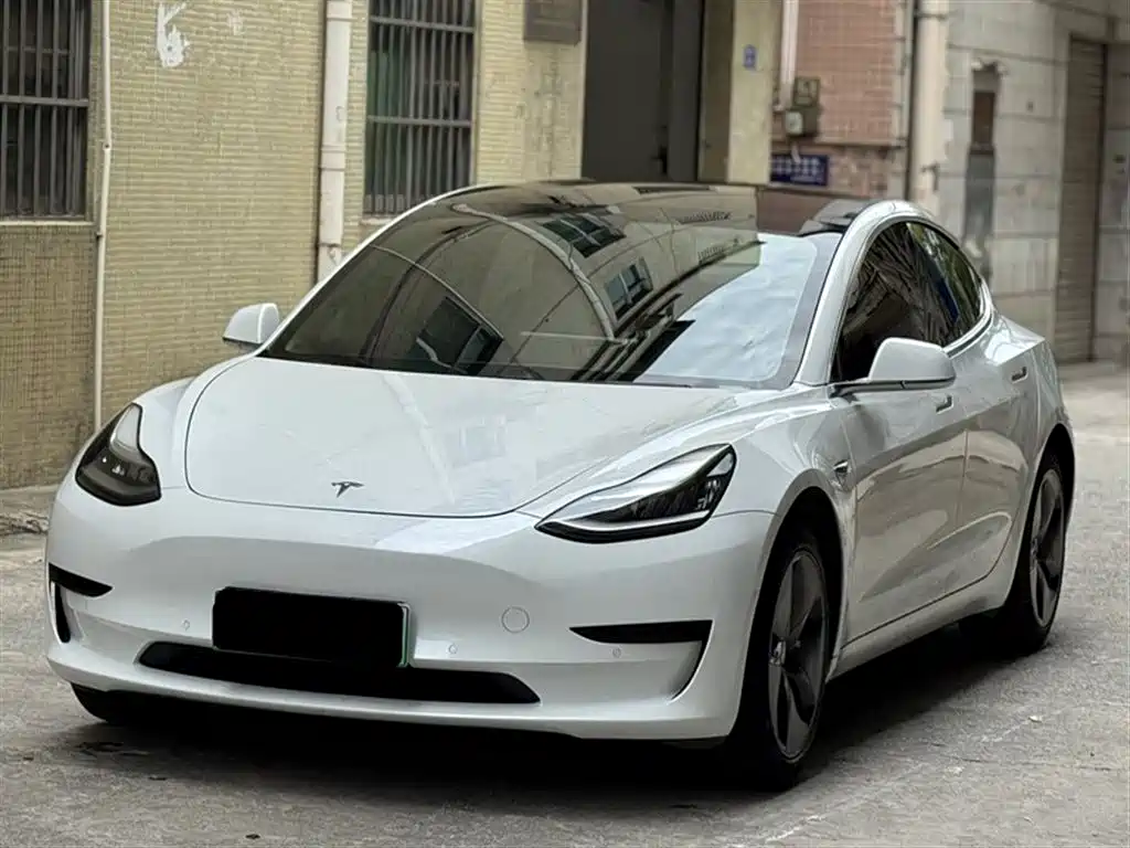 Model 3 2019 Standard Range Plus RWD