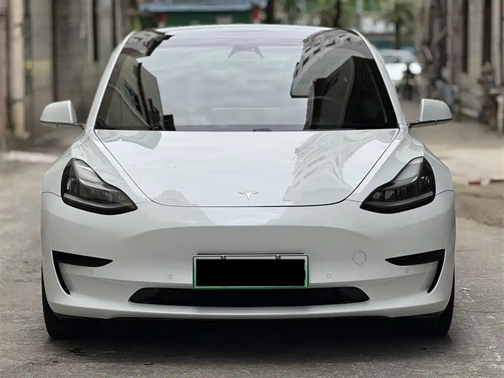 Model 3 2019 Standard Range Plus RWD