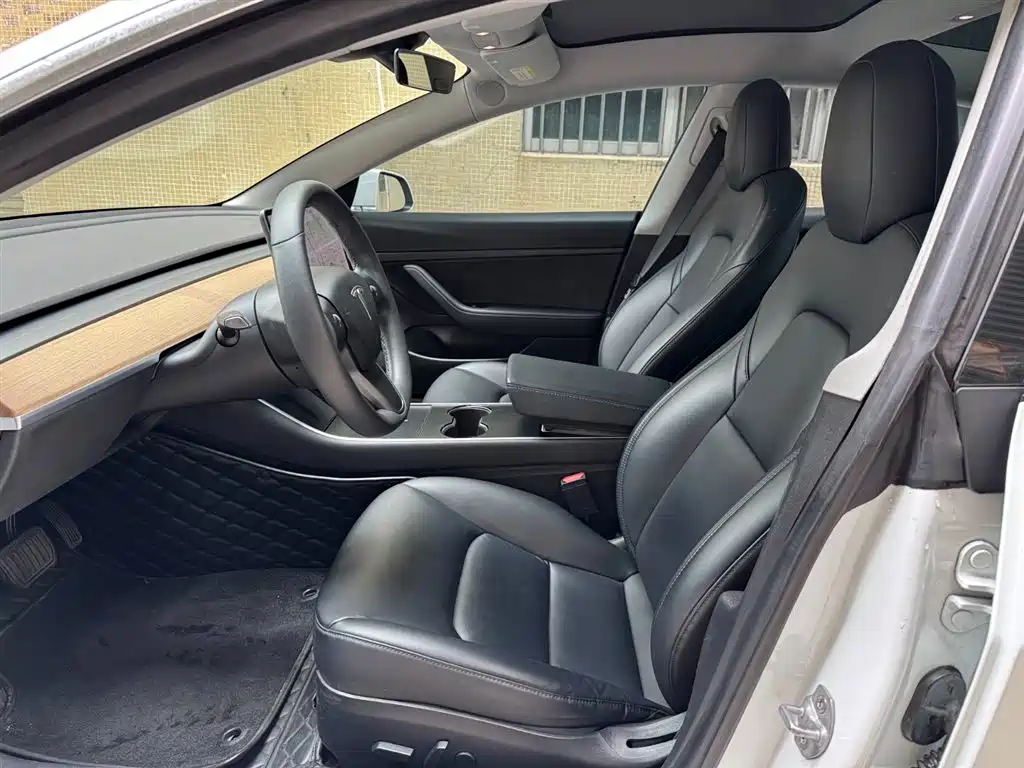 Model 3 2019 Standard Range Plus RWD