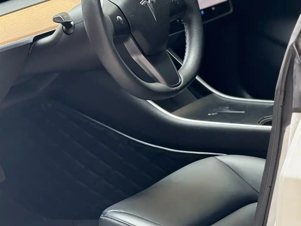 Model 3 2019 Standard Range Plus RWD