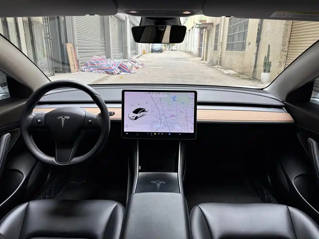Model 3 2019 Standard Range Plus RWD