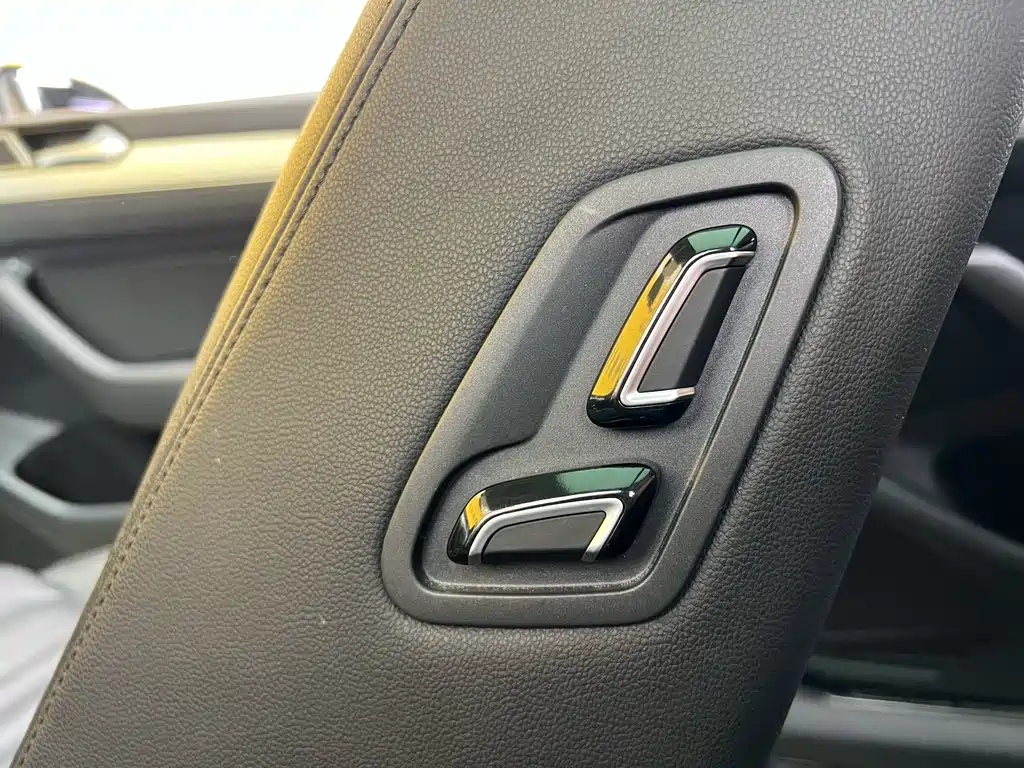 Magotan 2017 330TSI DSG Leading Edition