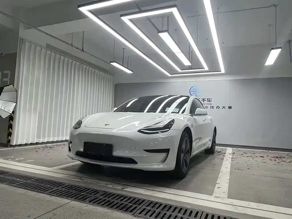 Model 3 2019 Standard Range Plus RWD