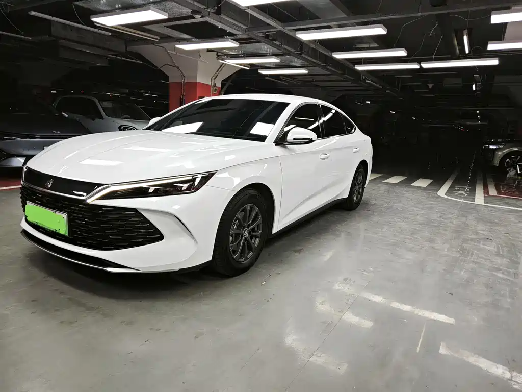 Qin L 2024 DM-i 80KM Leading Edition