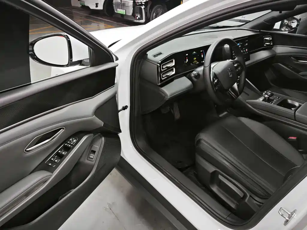 Qin L 2024 DM-i 80KM Leading Edition