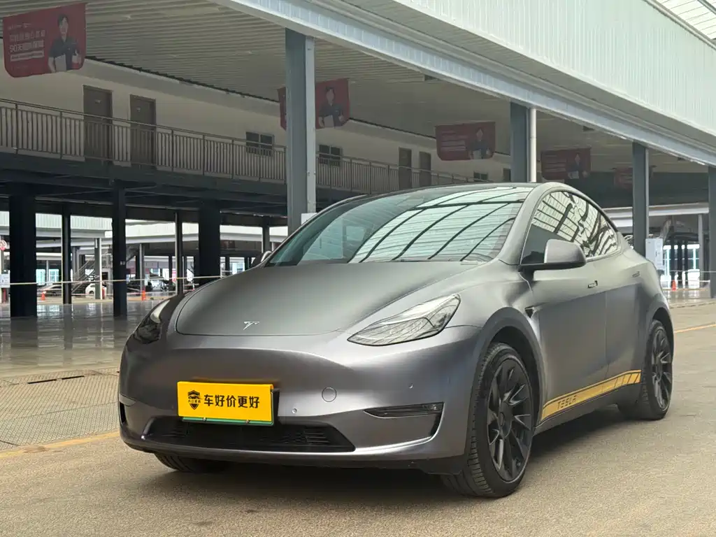 Model Y 2021 Standard Range RWD