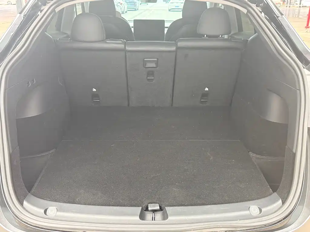 Model Y 2021 Standard Range RWD
