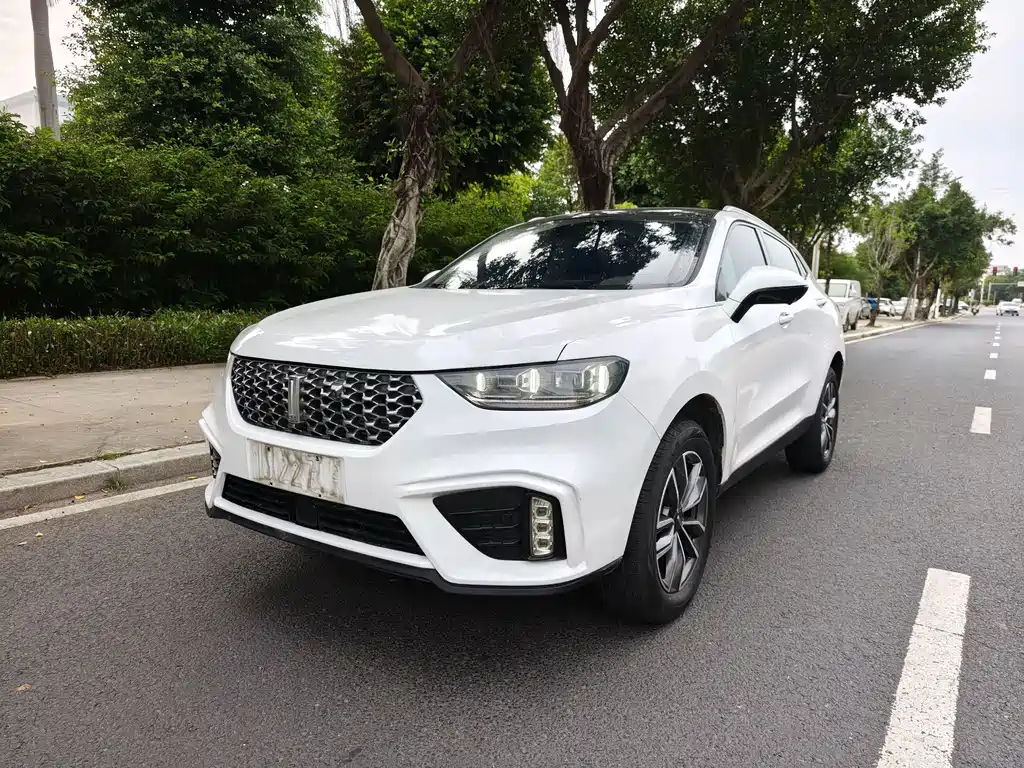 WEY VV5 2020 1.5T 2WD Zhi Xianfeng