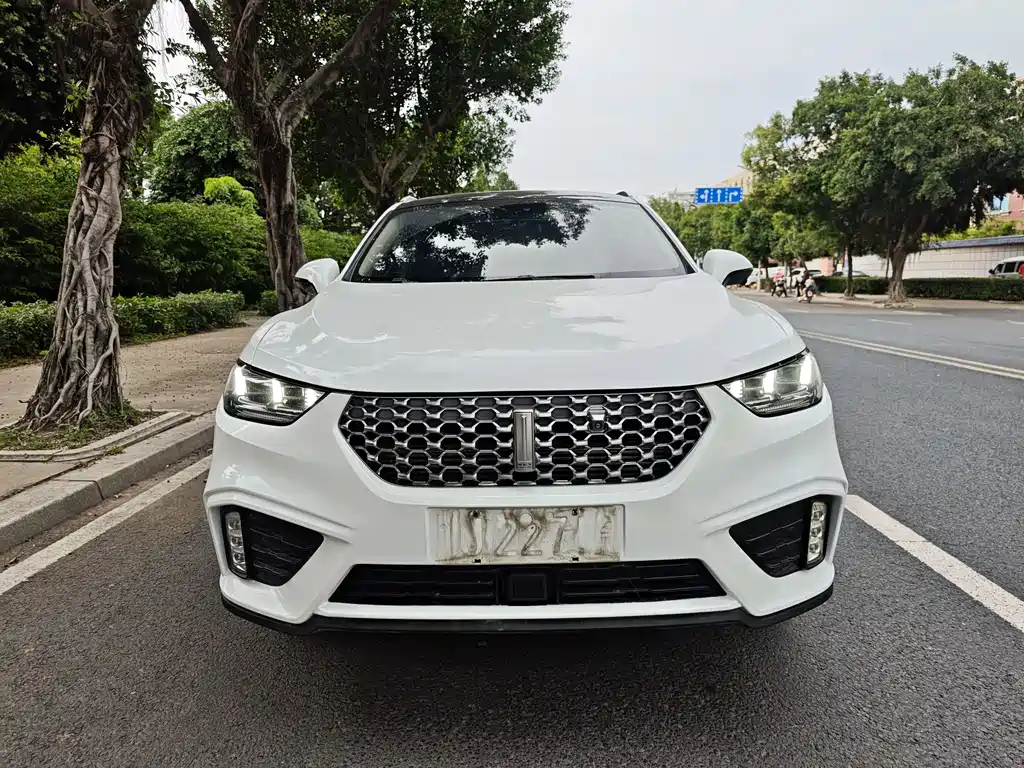 WEY VV5 2020 1.5T 2WD Zhi Xianfeng