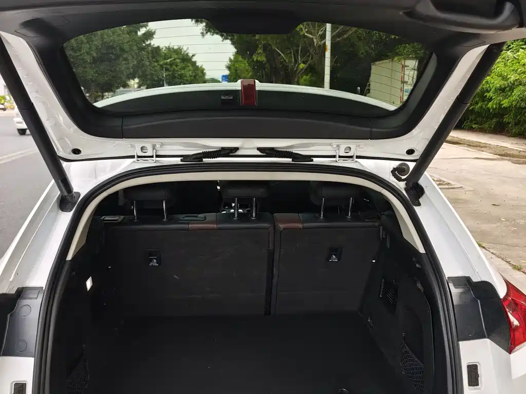 WEY VV5 2020 1.5T 2WD Zhi Xianfeng
