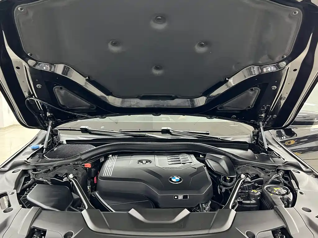 BMW 7 Series 2019 Facelift 730Li Luxury Package
