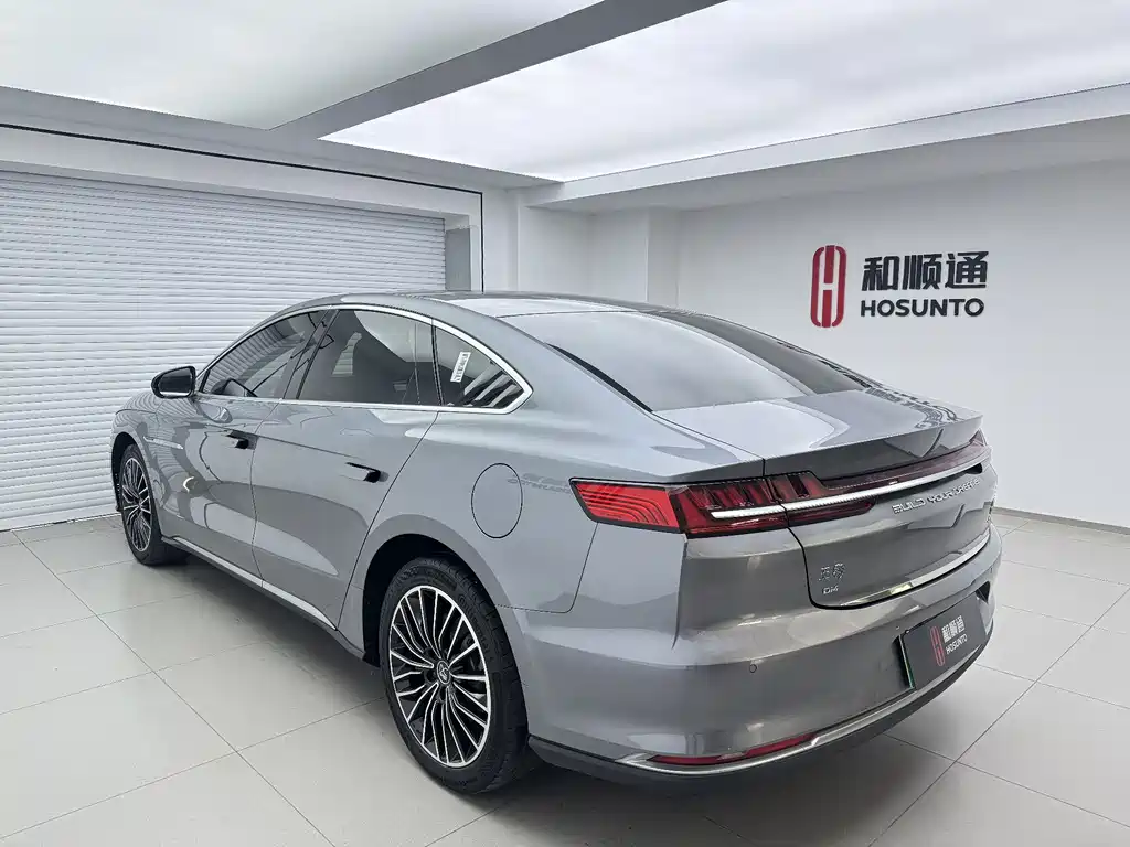 Han 2020 DM AWD Performance Edition Luxury