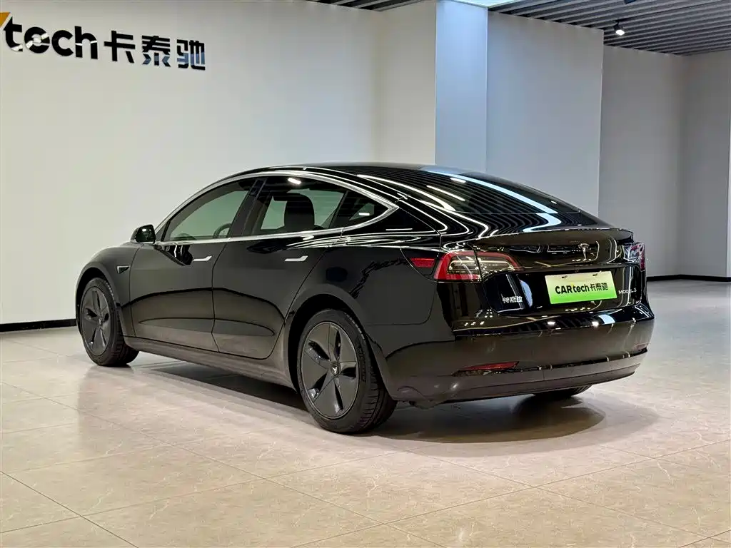 Model 3 2020 Standard Range Plus RWD