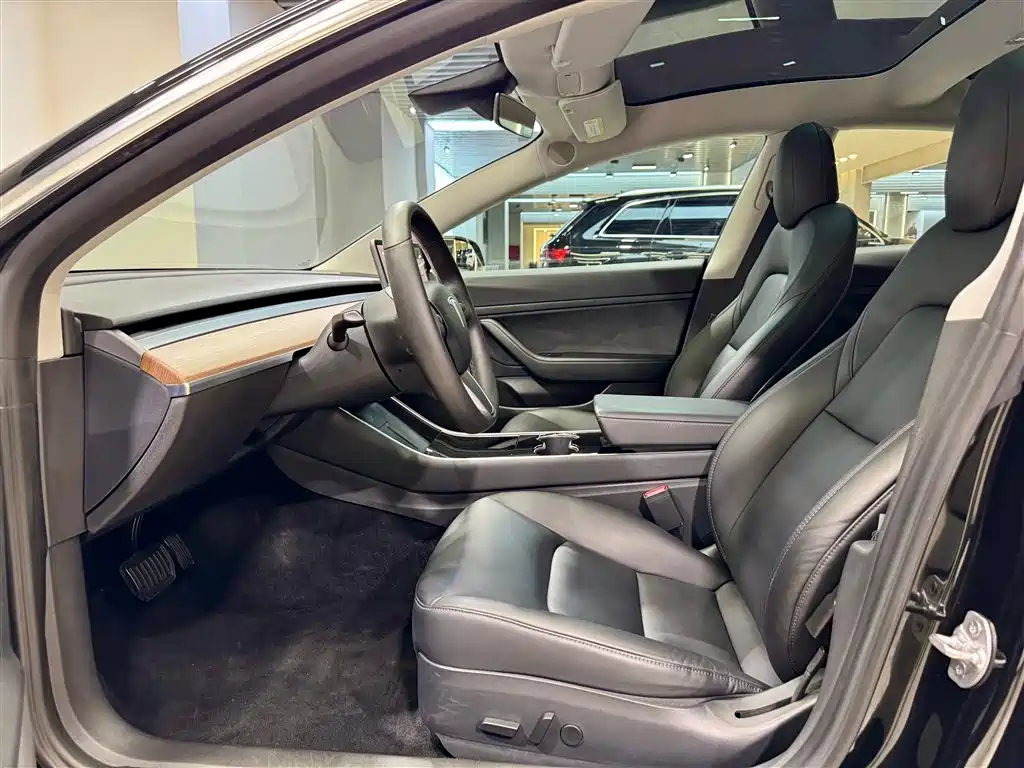 Model 3 2020 Standard Range Plus RWD