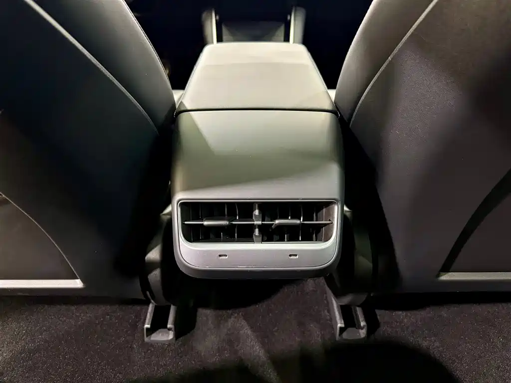 Model 3 2020 Standard Range Plus RWD