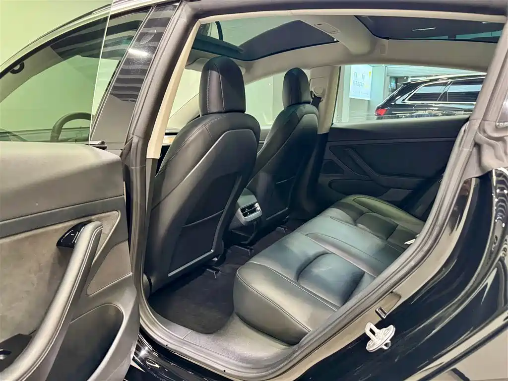 Model 3 2020 Standard Range Plus RWD