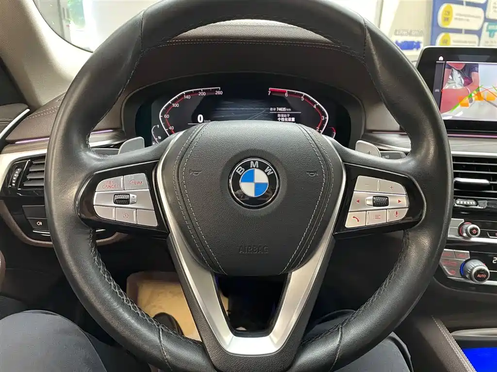 BMW 5 Series 2020 530Li xDrive Luxury Package