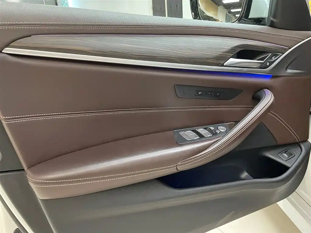 BMW 5 Series 2020 530Li xDrive Luxury Package