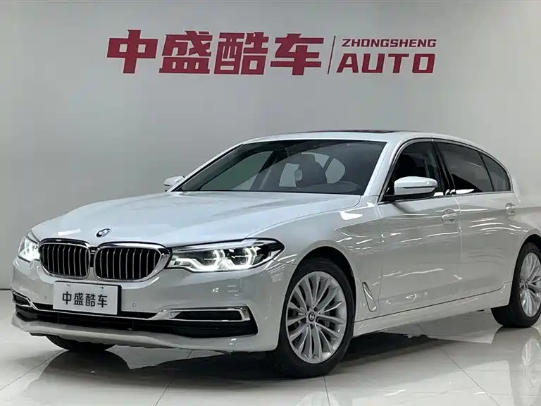 BMW 5 Series 2020 530Li xDrive Luxury Package