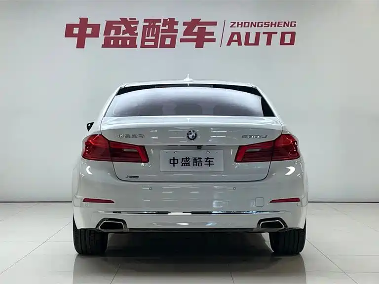 BMW 5 Series 2020 530Li xDrive Luxury Package