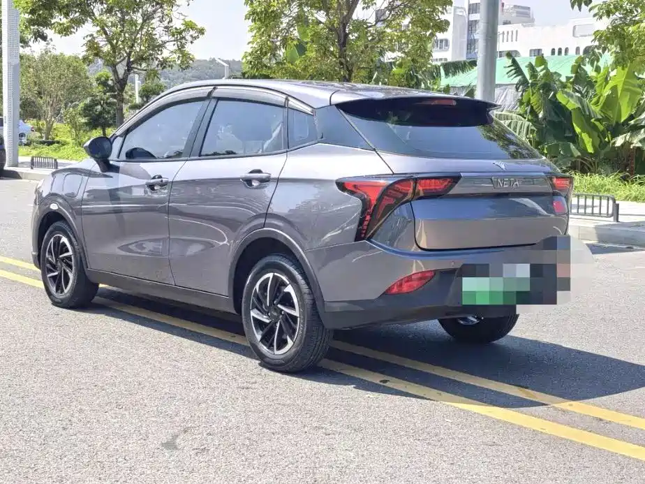 Neta V 2021 Standard Range Industry Custom Edition