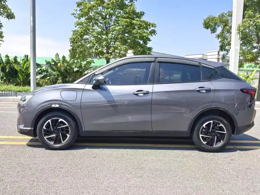 Neta V 2021 Standard Range Industry Custom Edition