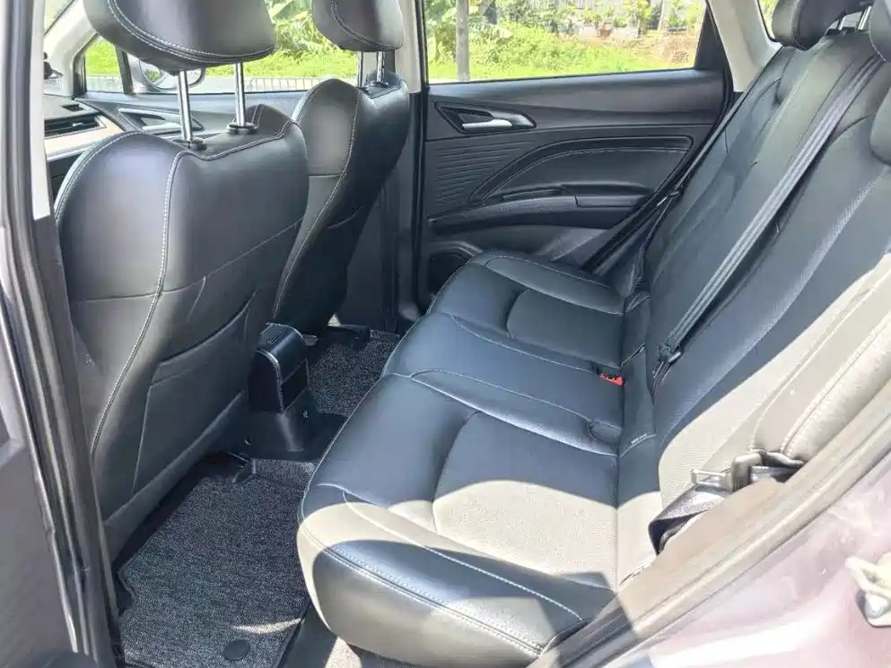 Neta V 2021 Standard Range Industry Custom Edition