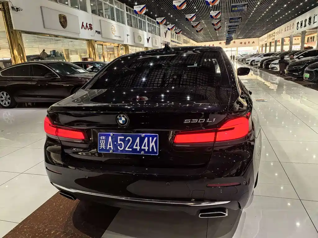 BMW 5 Series 2021 530Li Leading Luxury Package