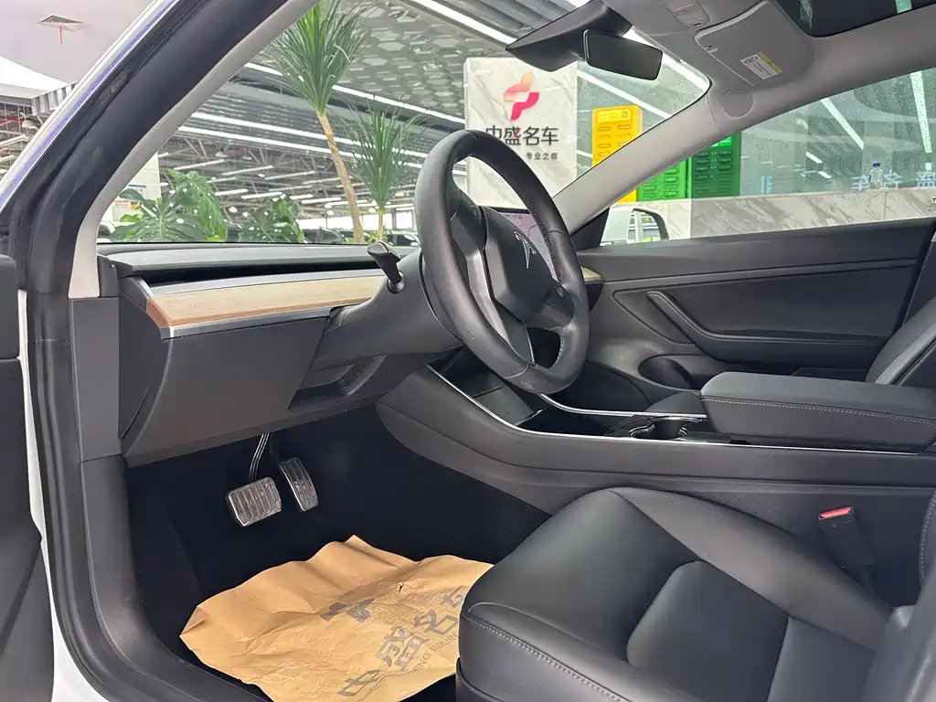 Model 3 2019 Standard Range Plus RWD