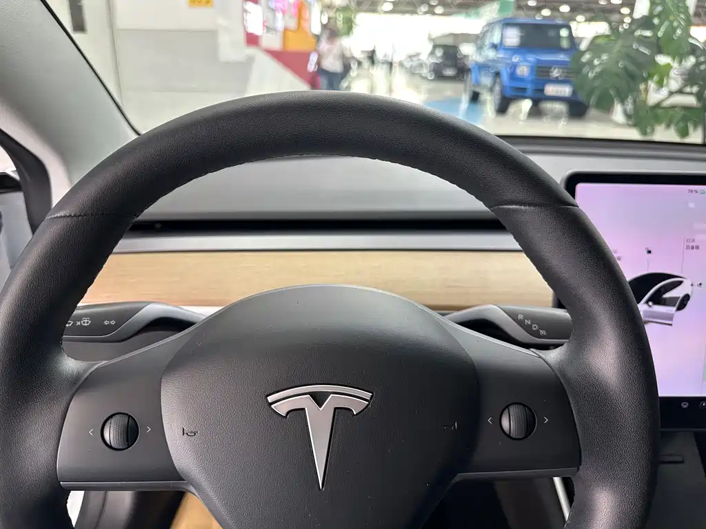 Model 3 2019 Standard Range Plus RWD