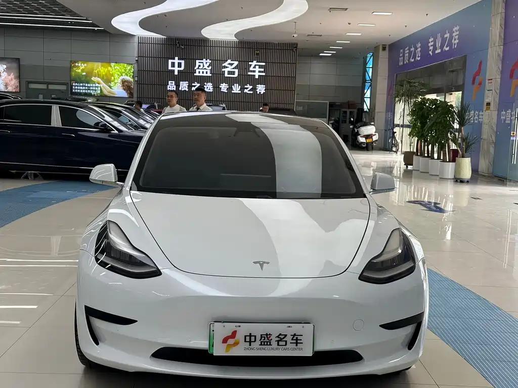 Model 3 2019 Standard Range Plus RWD