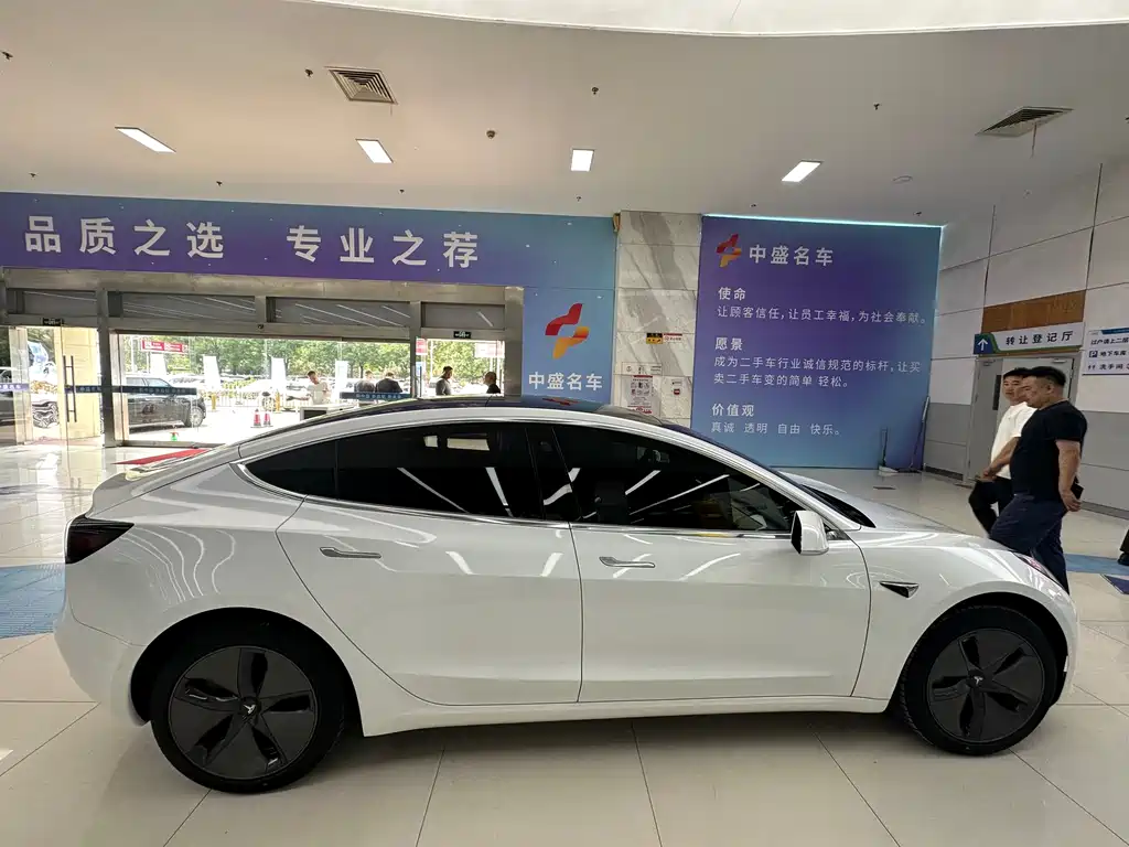 Model 3 2019 Standard Range Plus RWD
