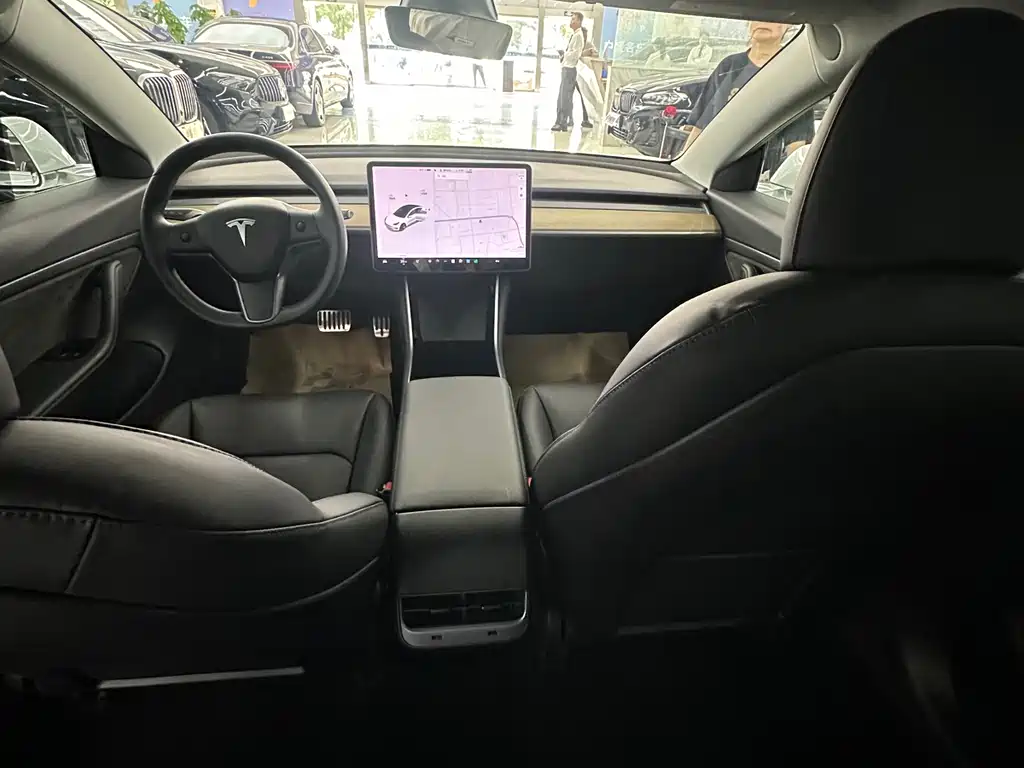 Model 3 2019 Standard Range Plus RWD