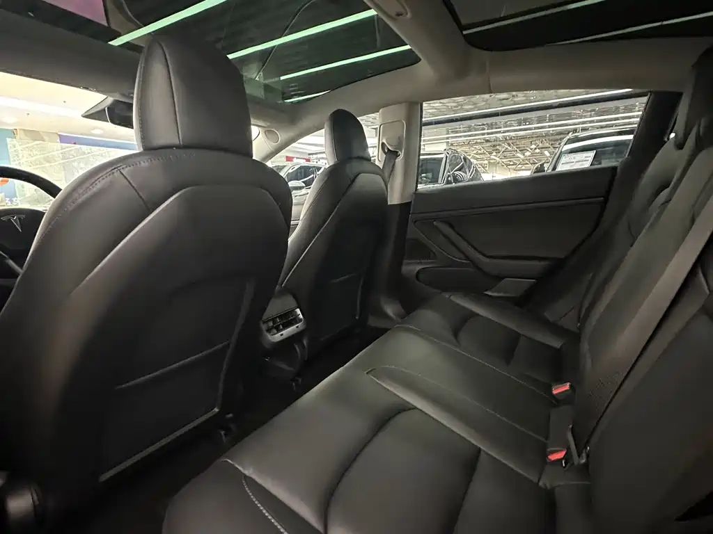 Model 3 2019 Standard Range Plus RWD