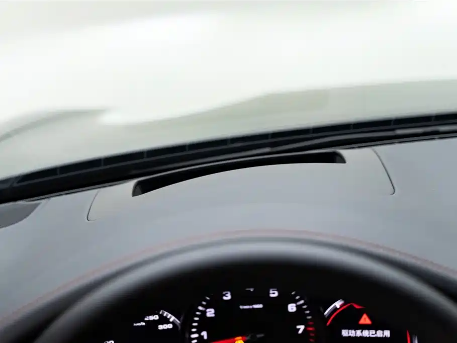 Porsche Panamera 2023 Facelift Panamera 2.9T Platinum Edition