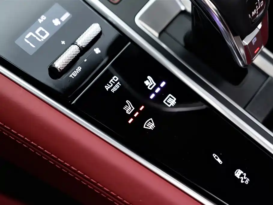 Porsche Panamera 2023 Facelift Panamera 2.9T Platinum Edition