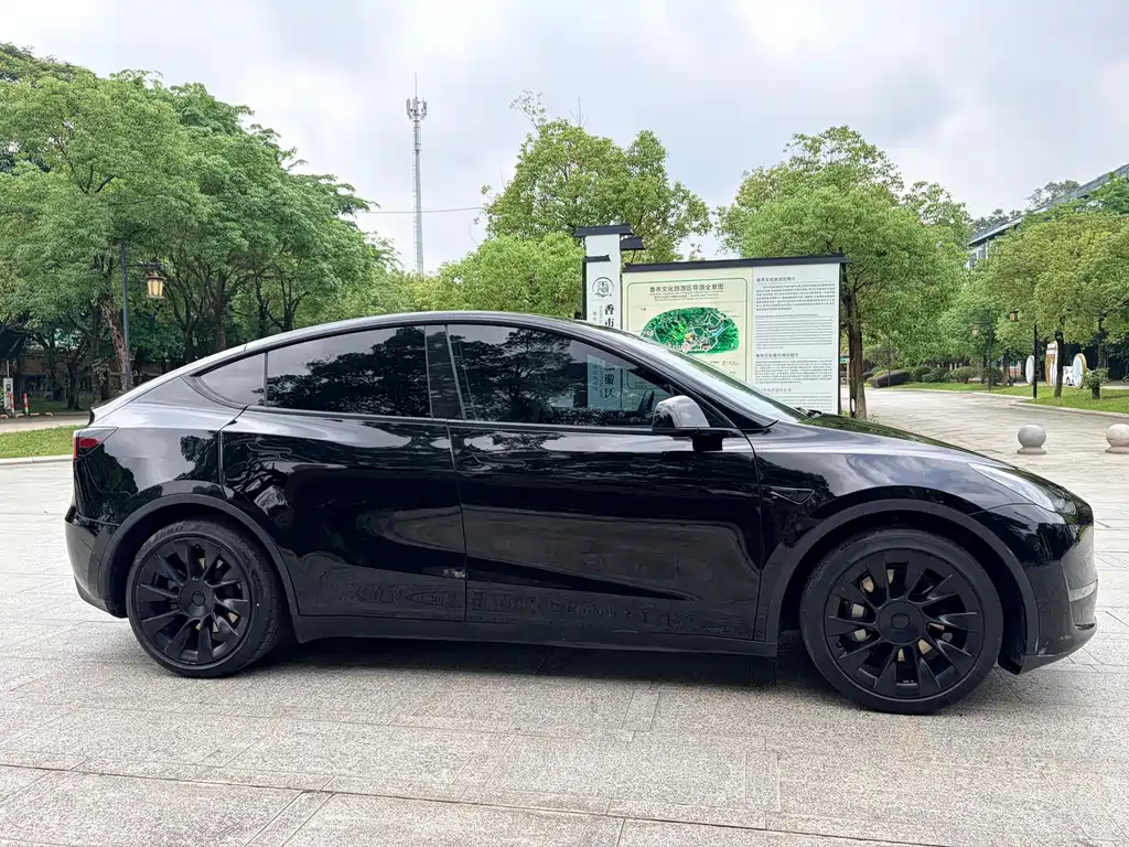 Model Y 2021 Standard Range Rear-Wheel Drive Edition