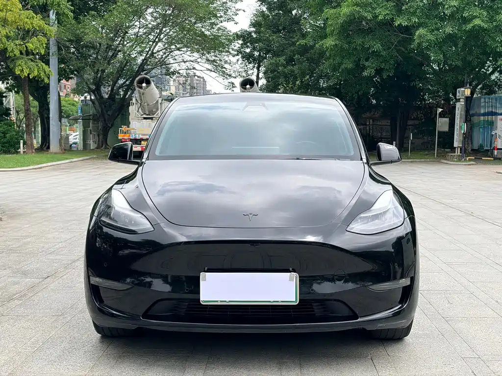Model Y 2021 Standard Range Rear-Wheel Drive Edition