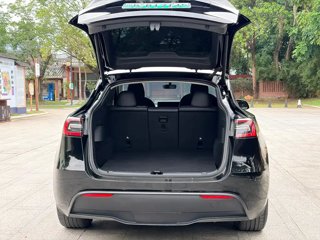 Model Y 2021 Standard Range Rear-Wheel Drive Edition