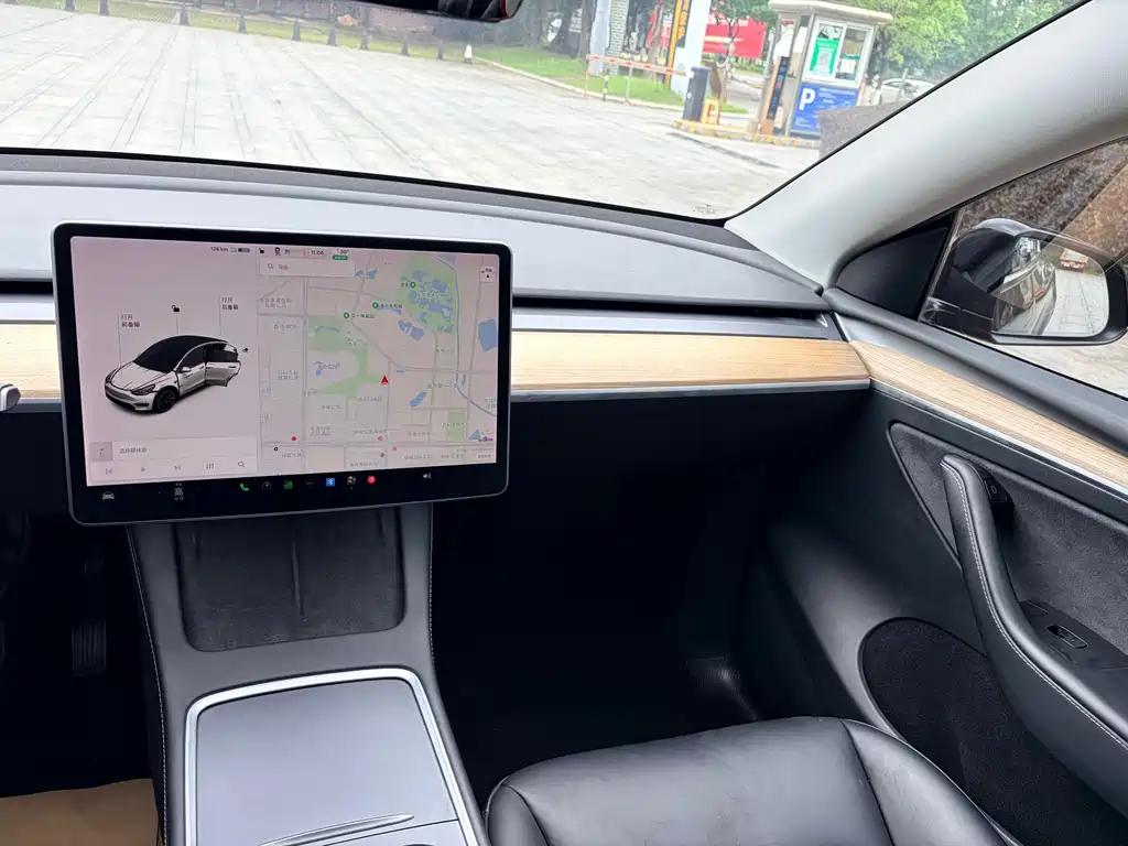 Model Y 2021 Standard Range Rear-Wheel Drive Edition