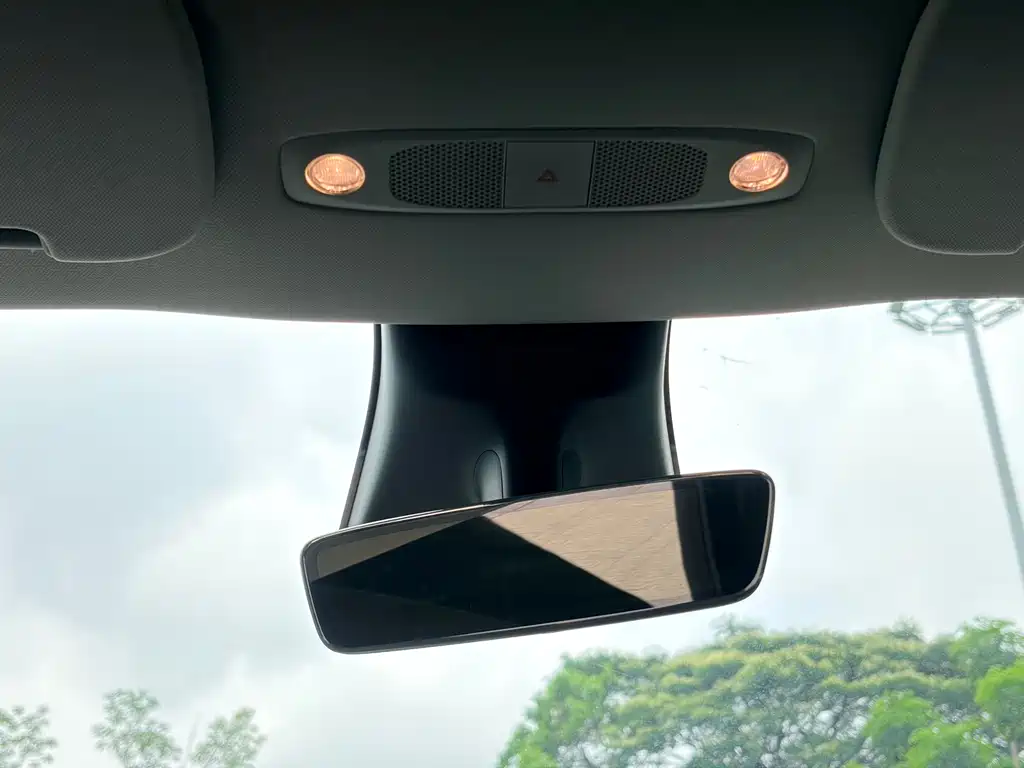 Model Y 2021 Standard Range Rear-Wheel Drive Edition
