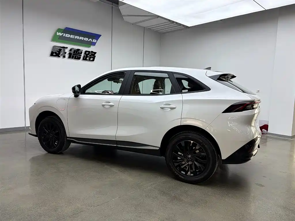 Dongfeng Forthing T5 2026 530km Prestige Edition