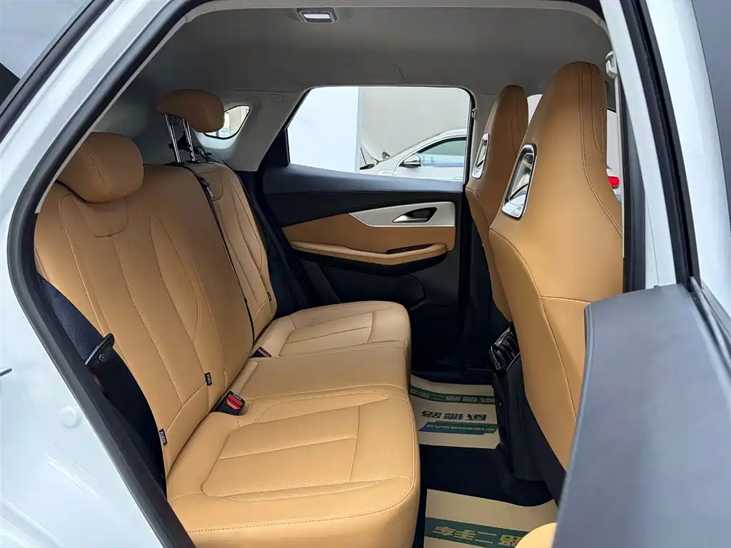 Dongfeng Forthing T5 2026 530km Prestige Edition